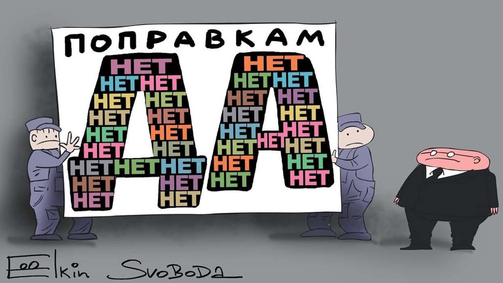 Конституция поправки голосование Ёлкин