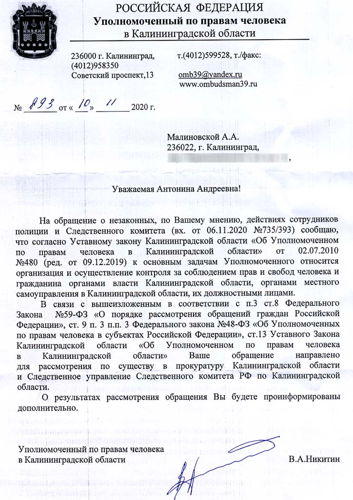 Nikitin.pdf