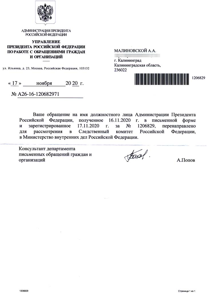 AP-Malinovskoi.pdf